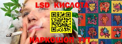 молекула духа Сланцы