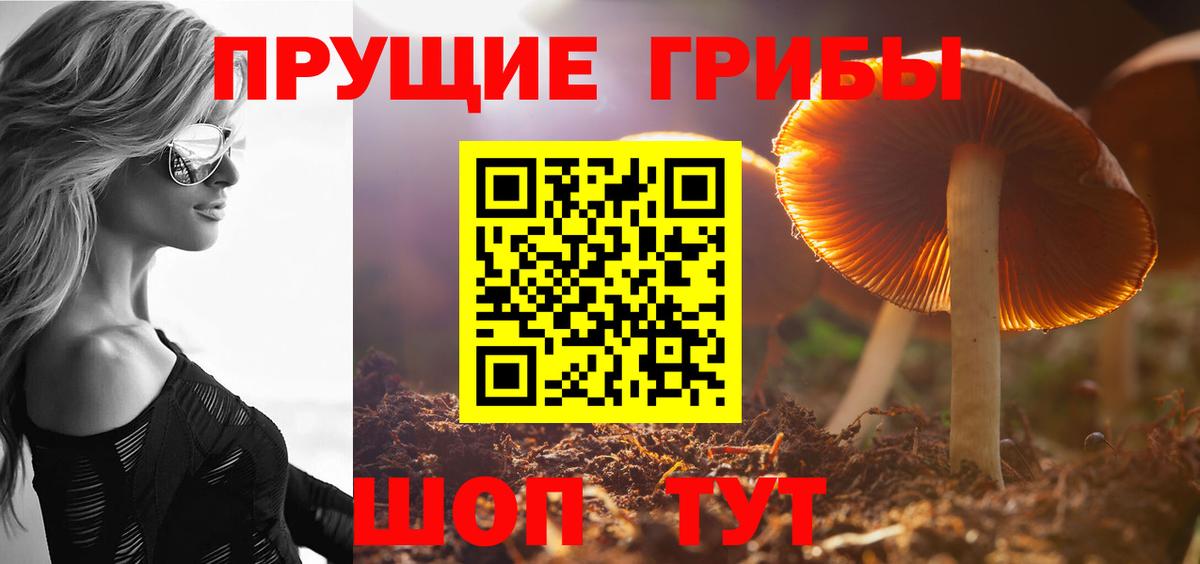 Нефтеюганск  Псилоцибиновые грибы Magic Shrooms  Псилоцибиновые грибы Cubensis  Вход с VPN 